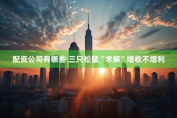 配资公司有哪些 三只松鼠“求解”增收不增利