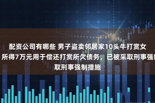 配资公司有哪些 男子盗卖邻居家10头牛打赏女主播，所得7万元用于偿还打赏所欠债务，已被采取刑事强制措施