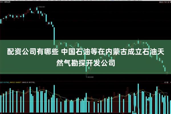 配资公司有哪些 中国石油等在内蒙古成立石油天然气勘探开发公司